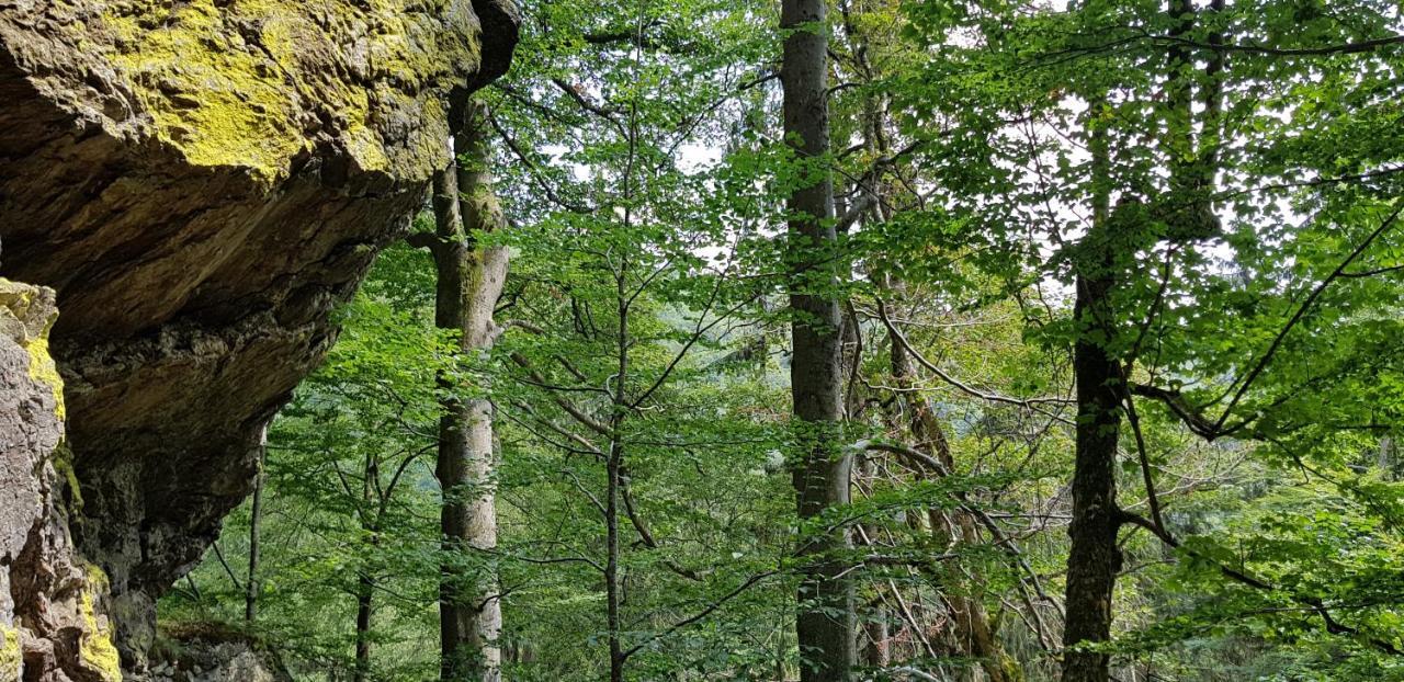 Apartment Am Nationalpark Bayerwald Lindberg Buitenkant foto